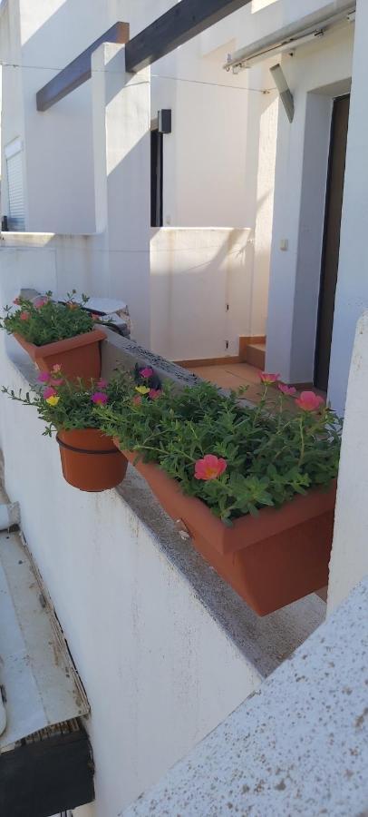 Condado De Alhama, Naranjos 8 Apartment อาลามา เด มูร์เซีย ภายนอก รูปภาพ